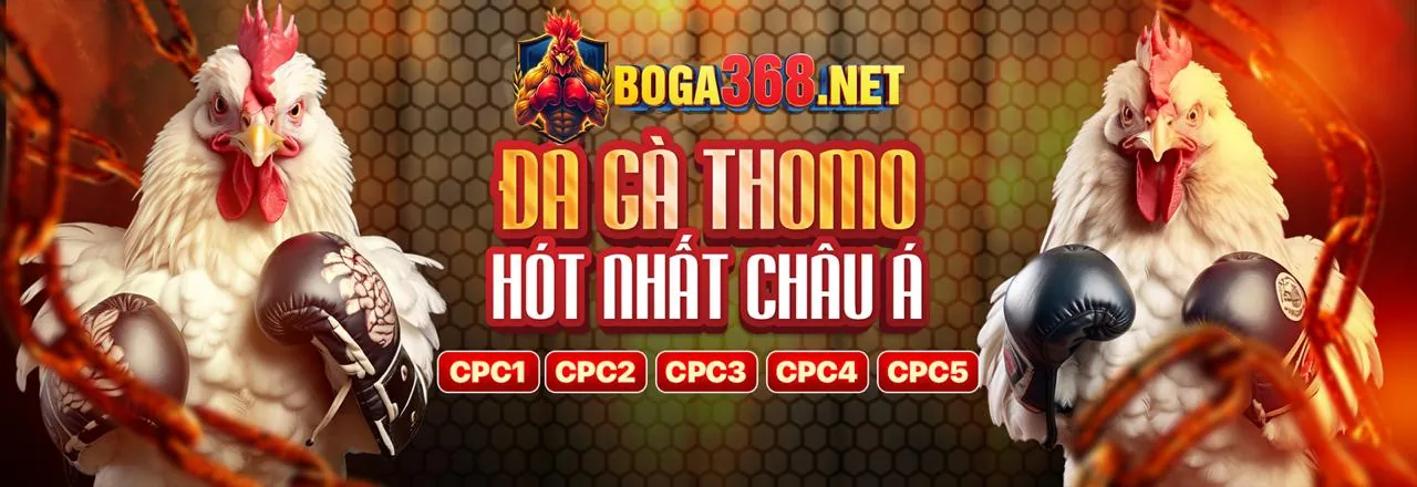 Trò chơi Baccarat tại 8xbet07 link mới